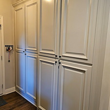 Amazing-new-light-gray-color-for-these-cabinets-in-Olathe-Ks 1